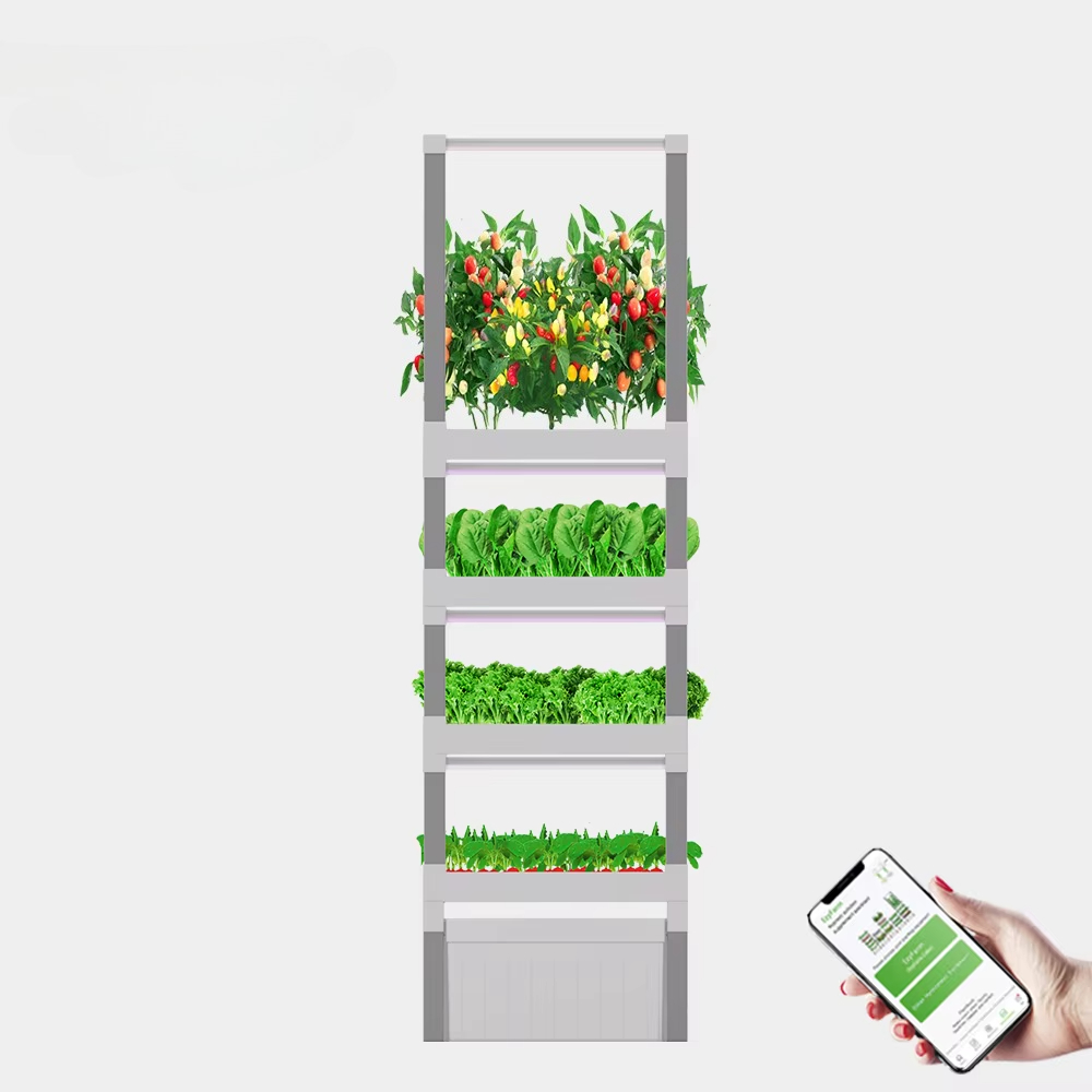 ระบบปลูกพืชไฮโดรโปนิกส์แบบกล่อ - Home Automation Systems Diy บทวิจารณ์และราคา